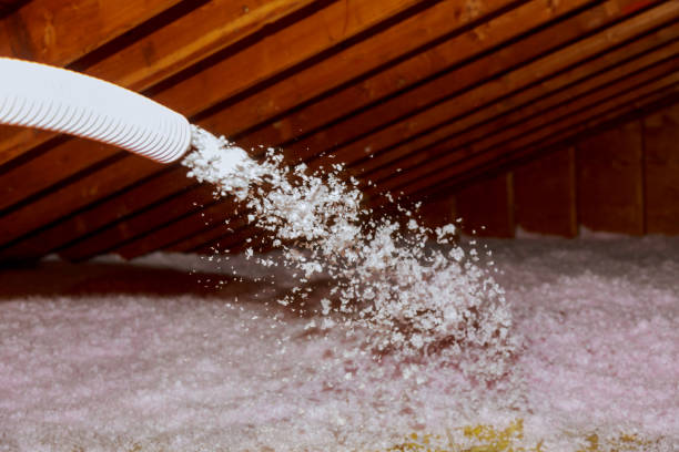 Best Insulation Removal  in Decherd, TN