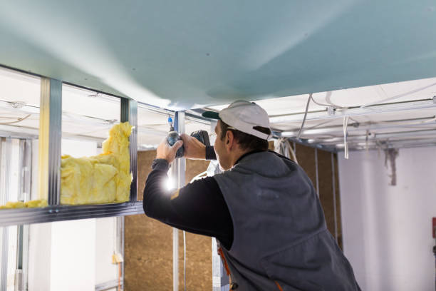 Best Insulation Replacement Services  in Decherd, TN