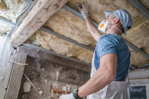 Best Insulation Replacement Services  in Decherd, TN