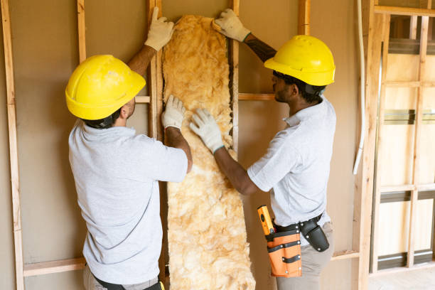 Best Professional Insulation Contractor  in Decherd, TN