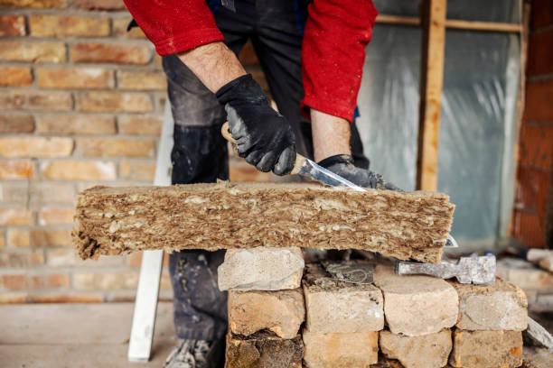 Best Insulation Contractor Near Me  in Decherd, TN