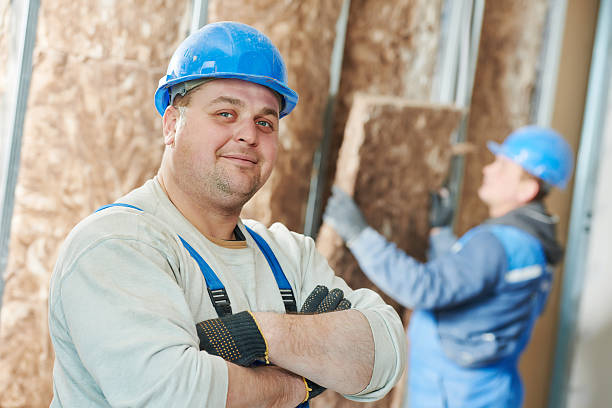 Best Home Insulation Services  in Decherd, TN