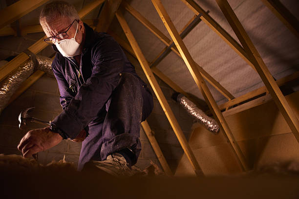 Best Home Insulation Services  in Decherd, TN