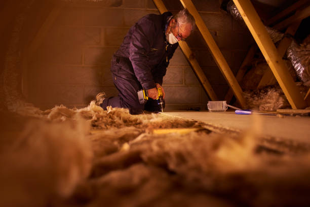 Best Local Insulation Services  in Decherd, TN